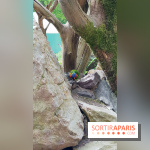 Zoo de Thoiry 2018 : les photos