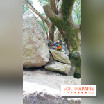 Zoo de Thoiry 2018 : les photos