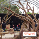 Zoo de Thoiry 2018 : les photos