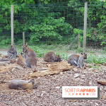 Zoo de Thoiry 2018 : les photos