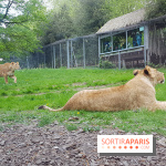 Zoo de Thoiry 2018 : les photos