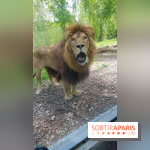 Zoo de Thoiry 2018 : les photos