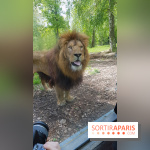 Zoo de Thoiry 2018 : les photos