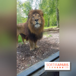 Zoo de Thoiry 2018 : les photos