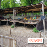 Zoo de Thoiry 2018 : les photos