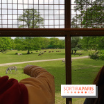 Thoiry 2018 - Safari