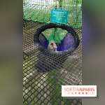 Thoiry 2018 - Safari Air Park