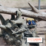 Thoiry 2018 - Trek Australien