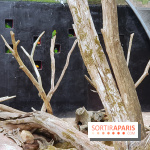 Thoiry 2018 - Trek Australien