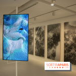 1, 2, 3, Data : les photos