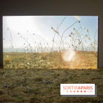 Nocturne dédiée au monde Kawaii à la Fondation Louis Vuitton : les photos