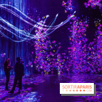 Teamlab : au delà des limites à la Villette, les photos