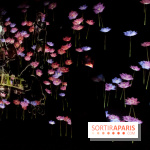 Teamlab : au delà des limites à la Villette, les photos