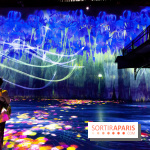 Teamlab : au delà des limites à la Villette, les photos