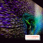 Teamlab : au delà des limites à la Villette, les photos