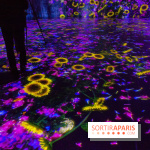 Teamlab : au delà des limites à la Villette, les photos
