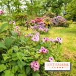 L'Arboretum de Versailles - Chevreloup