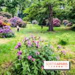 L'Arboretum de Versailles - Chevreloup