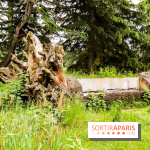 L'Arboretum de Versailles - Chevreloup