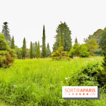 L'Arboretum de Versailles - Chevreloup