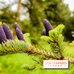L'Arboretum de Versailles - Chevreloup