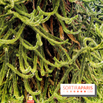 L'Arboretum de Versailles - Chevreloup