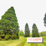 L'Arboretum de Versailles - Chevreloup