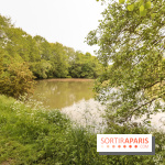 L'Arboretum de Versailles - Chevreloup