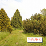L'Arboretum de Versailles - Chevreloup