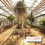 L'Arboretum de Versailles - Chevreloup