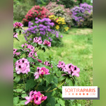 L'Arboretum de Versailles - Chevreloup