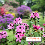 L'Arboretum de Versailles - Chevreloup