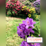 L'Arboretum de Versailles - Chevreloup