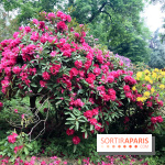 L'Arboretum de Versailles - Chevreloup