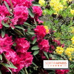 L'Arboretum de Versailles - Chevreloup