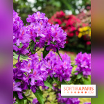 L'Arboretum de Versailles - Chevreloup