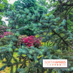 L'Arboretum de Versailles - Chevreloup