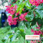 L'Arboretum de Versailles - Chevreloup
