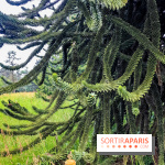 L'Arboretum de Versailles - Chevreloup