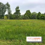 L'Arboretum de Versailles - Chevreloup