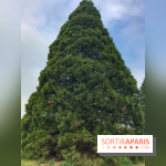 L'Arboretum de Versailles - Chevreloup