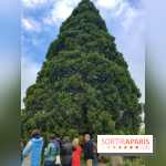 L'Arboretum de Versailles - Chevreloup