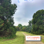 L'Arboretum de Versailles - Chevreloup