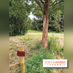 L'Arboretum de Versailles - Chevreloup