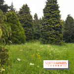 L'Arboretum de Versailles - Chevreloup