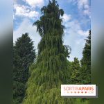 L'Arboretum de Versailles - Chevreloup