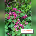 L'Arboretum de Versailles - Chevreloup