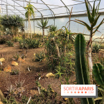 L'Arboretum de Versailles - Chevreloup