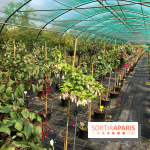 L'Arboretum de Versailles - Chevreloup