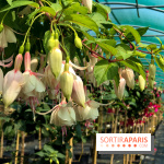 L'Arboretum de Versailles - Chevreloup